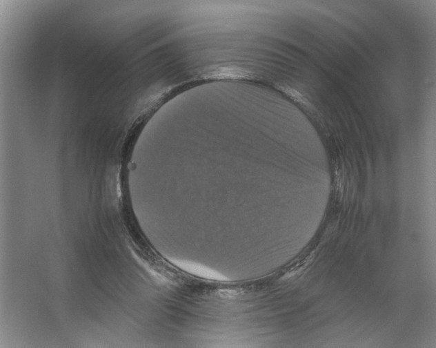 X0000066540302200604141912