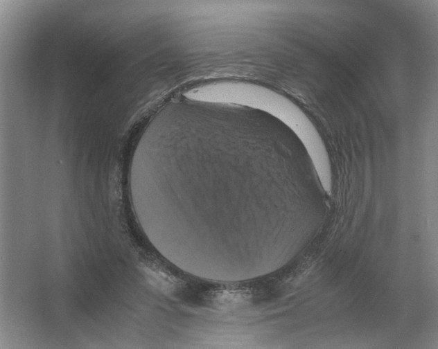 X0000066540303200604141912