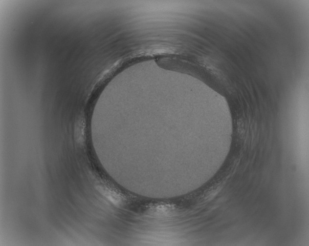 X0000066540304200604141912