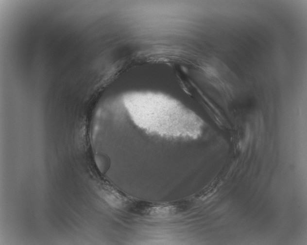 X0000066540314200604141912