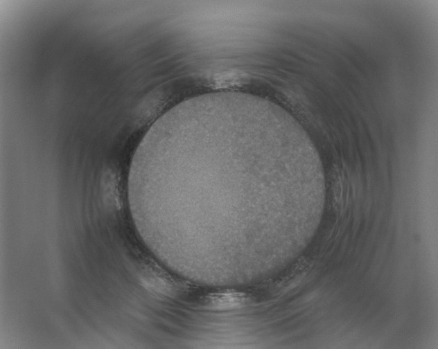 X0000066540316200604141912