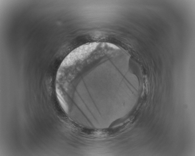 X0000066540319200604141912