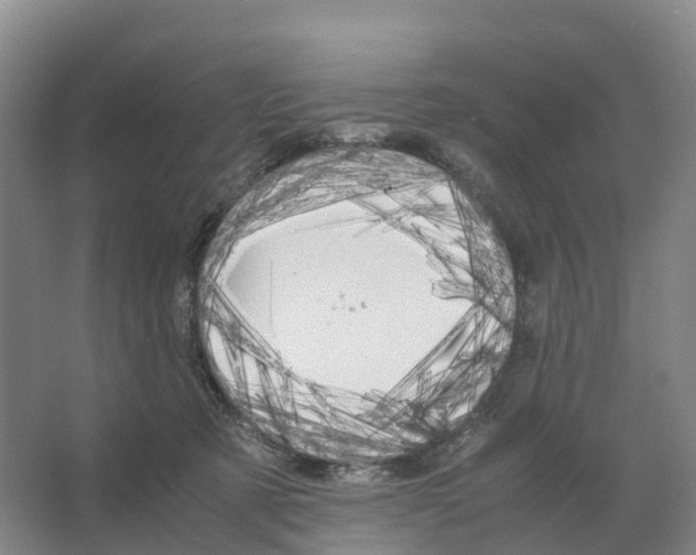 X0000066540321200604141912