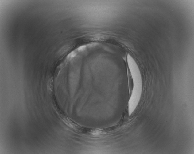 X0000066540325200604141912