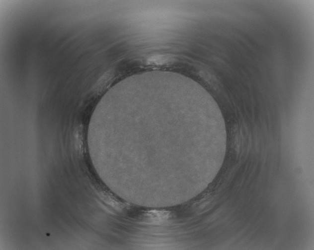 X0000066540328200604141912