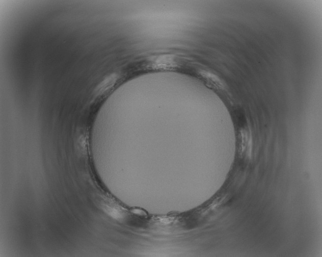 X0000066540329200604141912