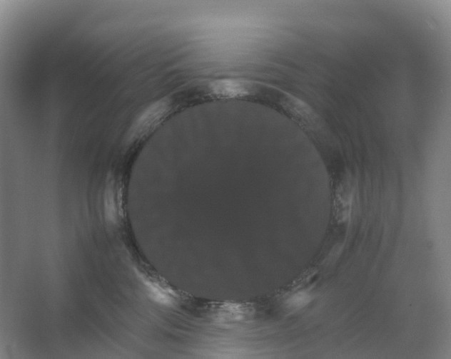 X0000066540330200604141912