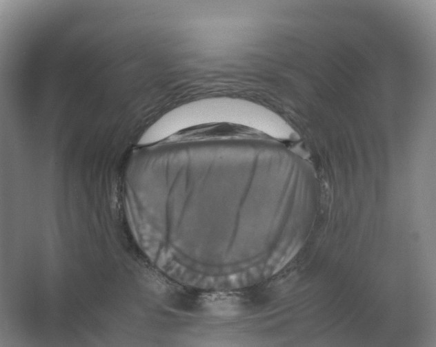 X0000066540331200604141912
