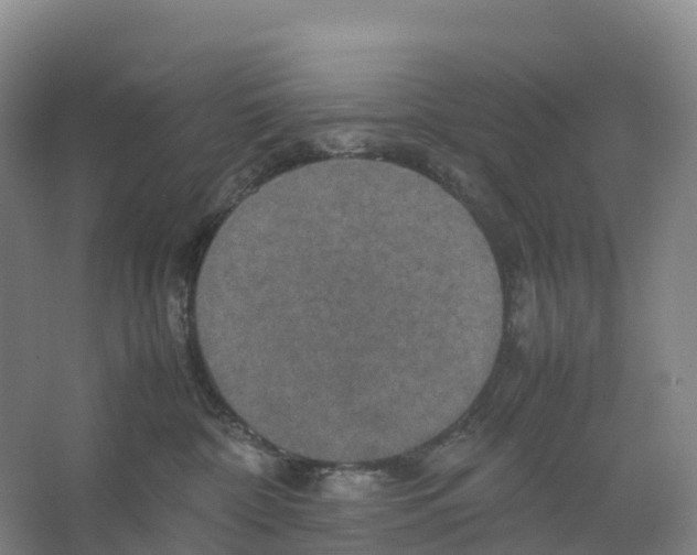 X0000066540332200604141912