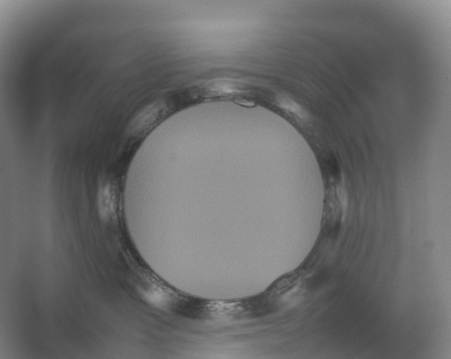 X0000066540333200604141912