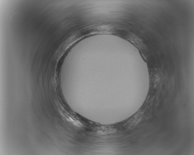 X0000066540338200604141911