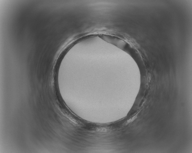 X0000066540344200604141911