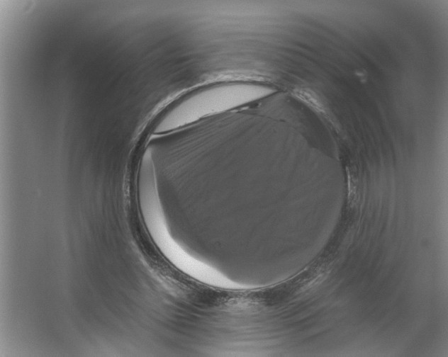 X0000066540348200604141911