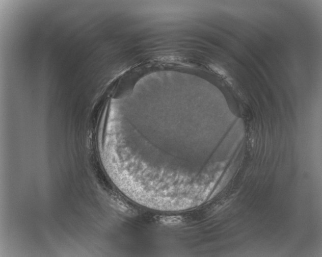X0000066540355200604141911