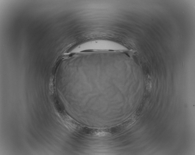 X0000066540360200604141911