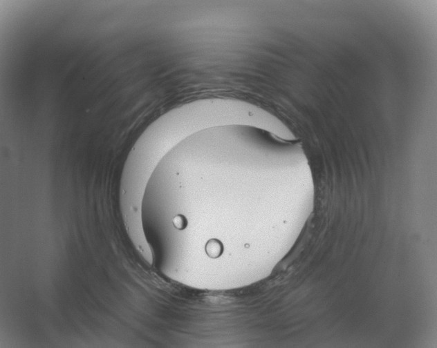 X0000066540376200604141912