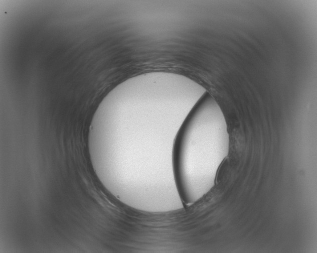 X0000066540380200604141912