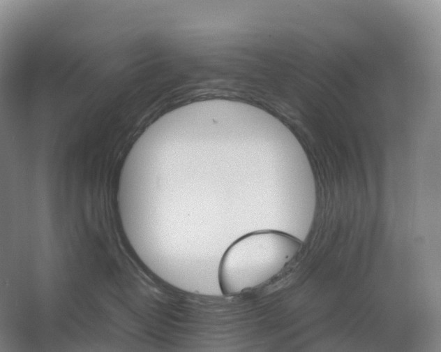 X0000066540382200604141912