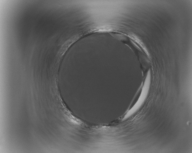 X0000066540385200604141911