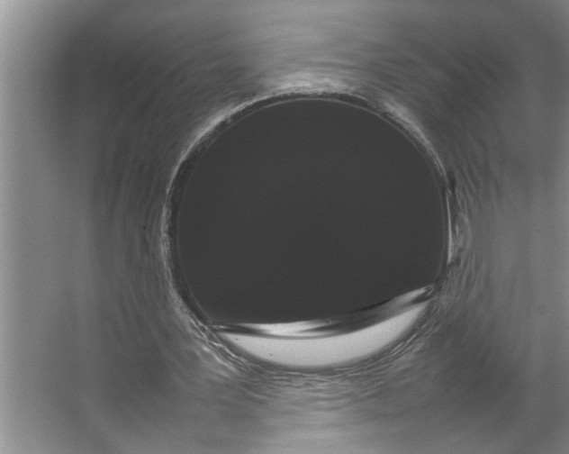 X0000066540387200604141911