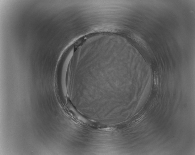 X0000066540388200604141911