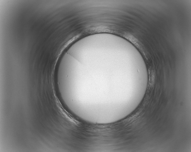 X0000066540390200604141911