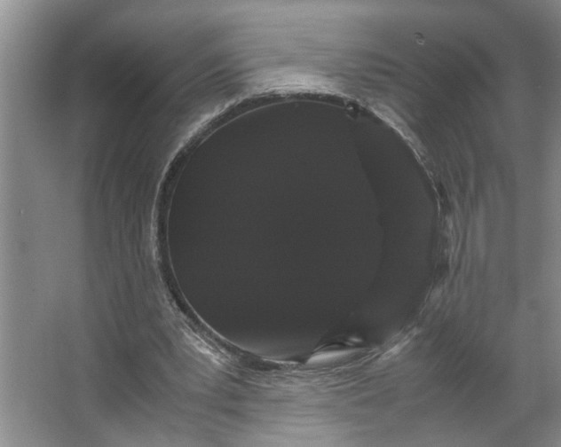 X0000066540391200604141911