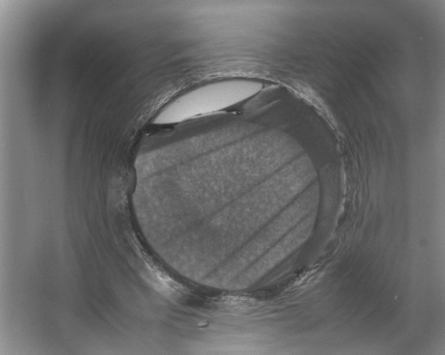 X0000066540393200604141911