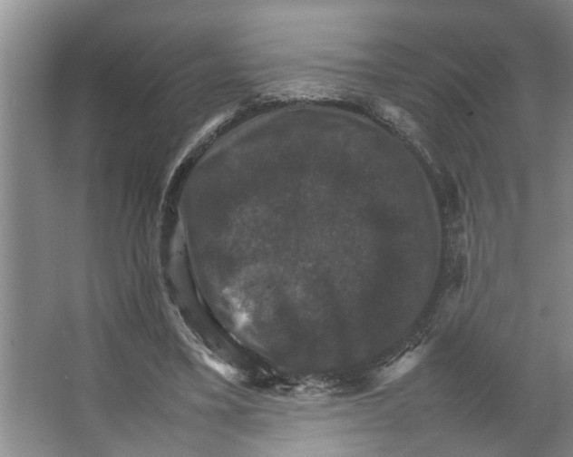 X0000066540395200604141911