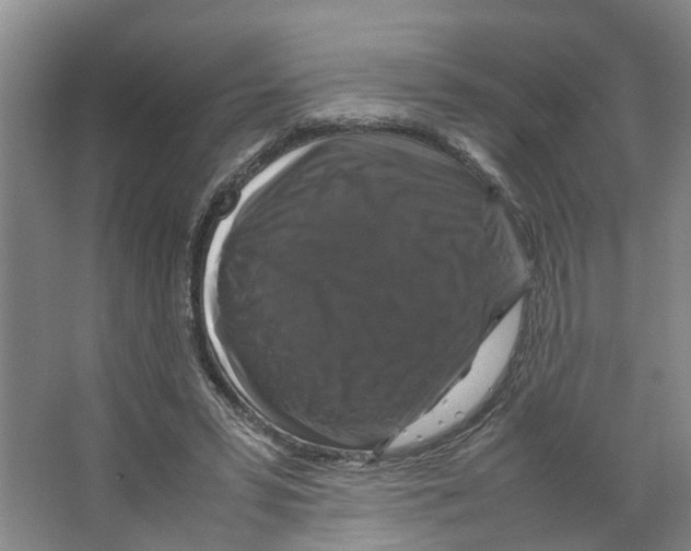 X0000066540399200604141911