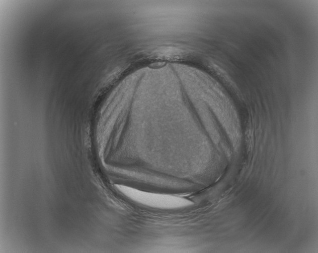 X0000066540403200604141911