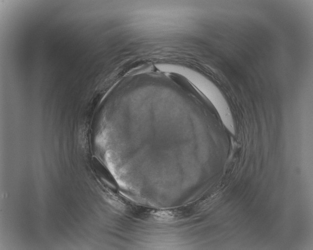 X0000066540409200604141910