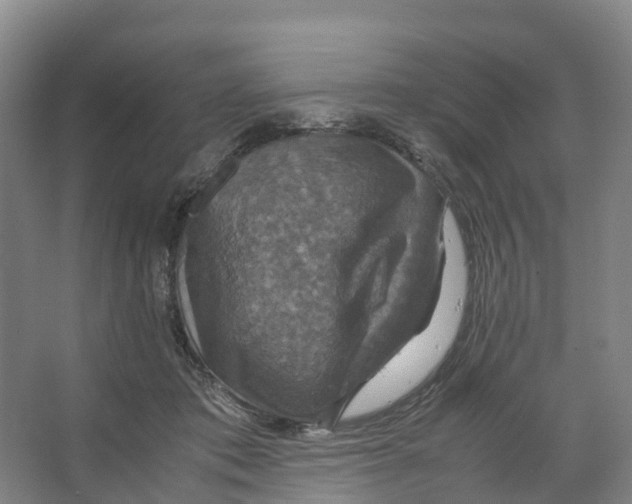 X0000066540413200604141910