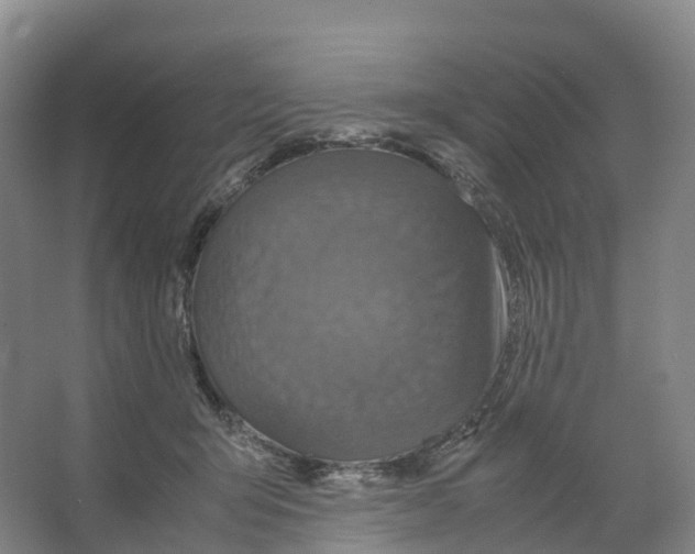 X0000066540415200604141910