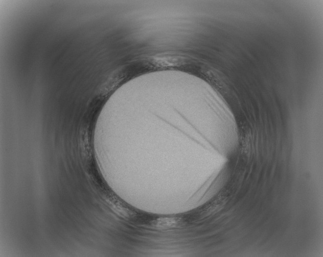X0000066540418200604141910