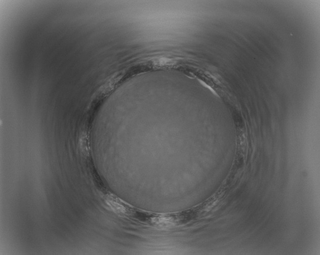X0000066540419200604141910