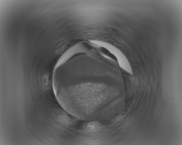 X0000066540420200604141910