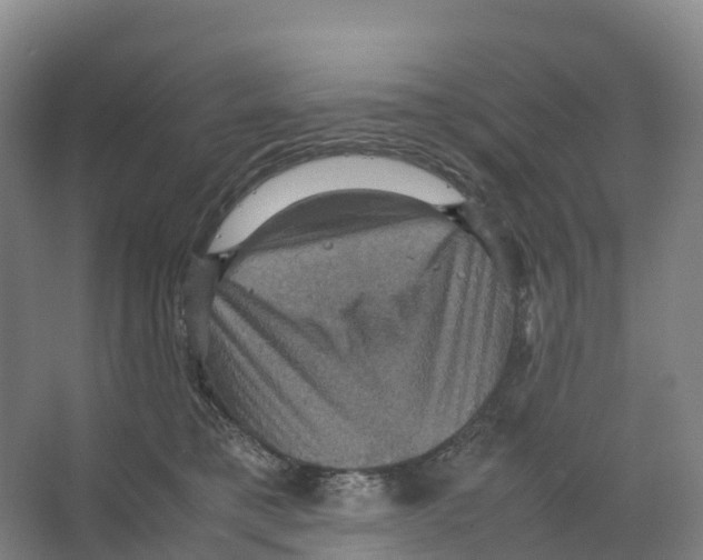 X0000066540421200604141910