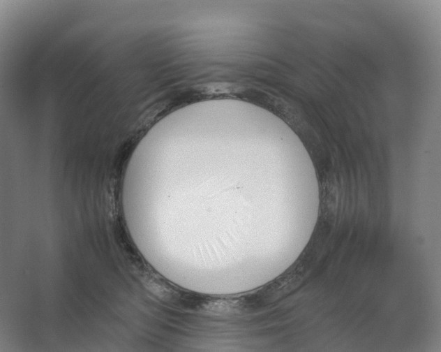 X0000066540422200604141910