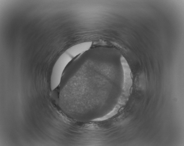 X0000066540424200604141910