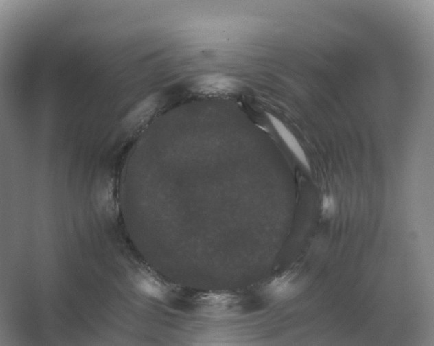X0000066540428200604141910