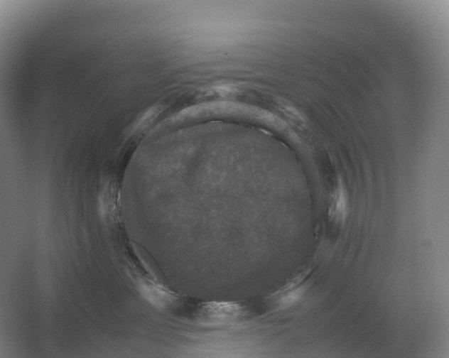 X0000066540429200604141910