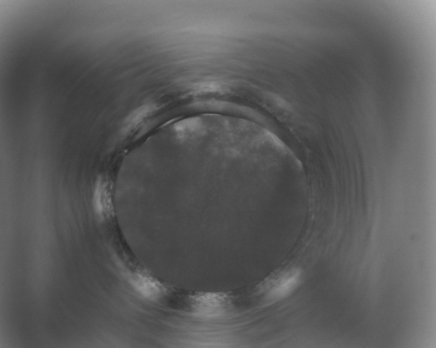 X0000066540432200604141910