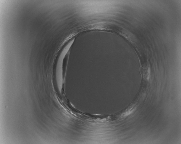 X0000066540434200604141909