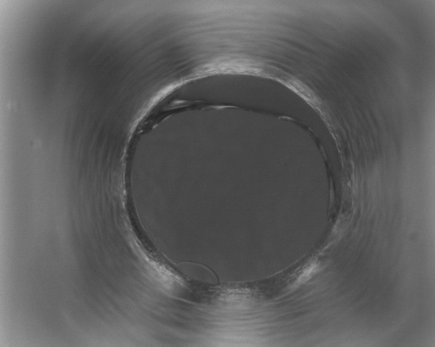 X0000066540438200604141909