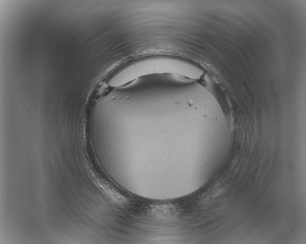 X0000066540446200604141909