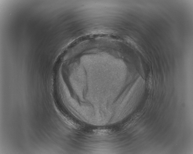 X0000066540448200604141910