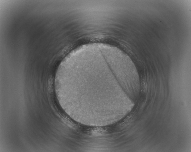 X0000066540468200604141910