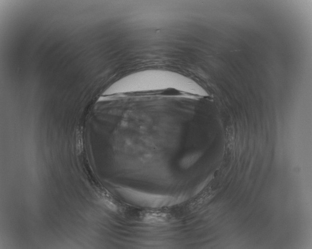 X0000066540471200604141910