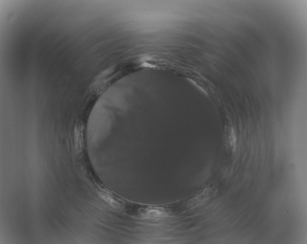 X0000066540475200604141910